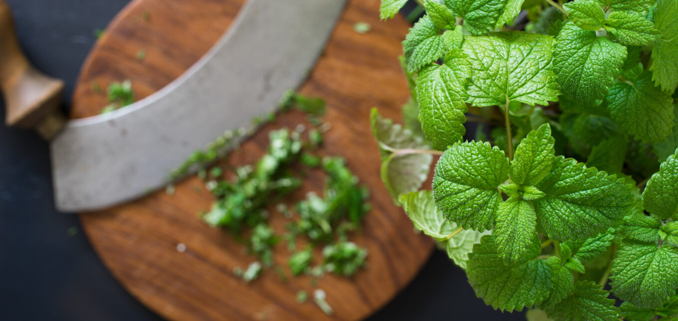 What to Do With Mint Leaves from the Garden – Mother Earth News - Vimarsana News